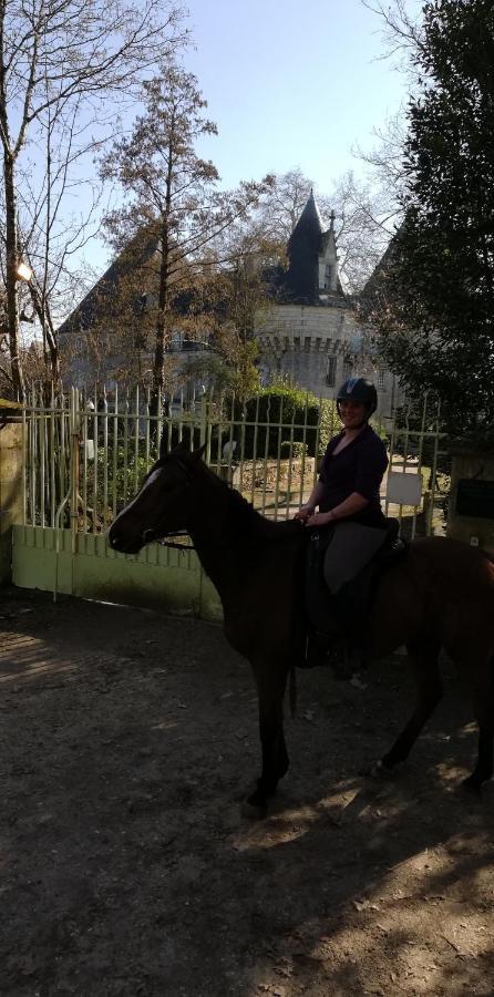 Chambre D'Hote En Vallee Du Loir - Elevage Des Rosiers Bazouges-sur-le-Loir ภายนอก รูปภาพ