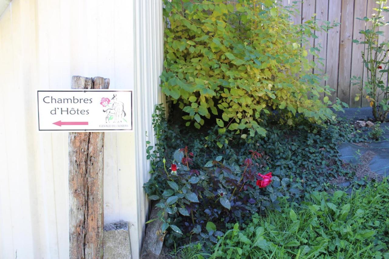 Chambre D'Hote En Vallee Du Loir - Elevage Des Rosiers Bazouges-sur-le-Loir ภายนอก รูปภาพ