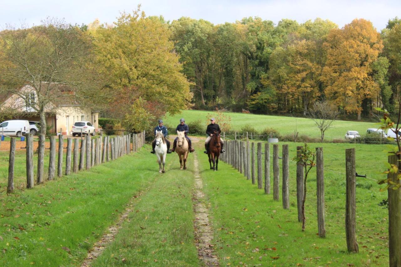 Chambre D'Hote En Vallee Du Loir - Elevage Des Rosiers Bazouges-sur-le-Loir ภายนอก รูปภาพ