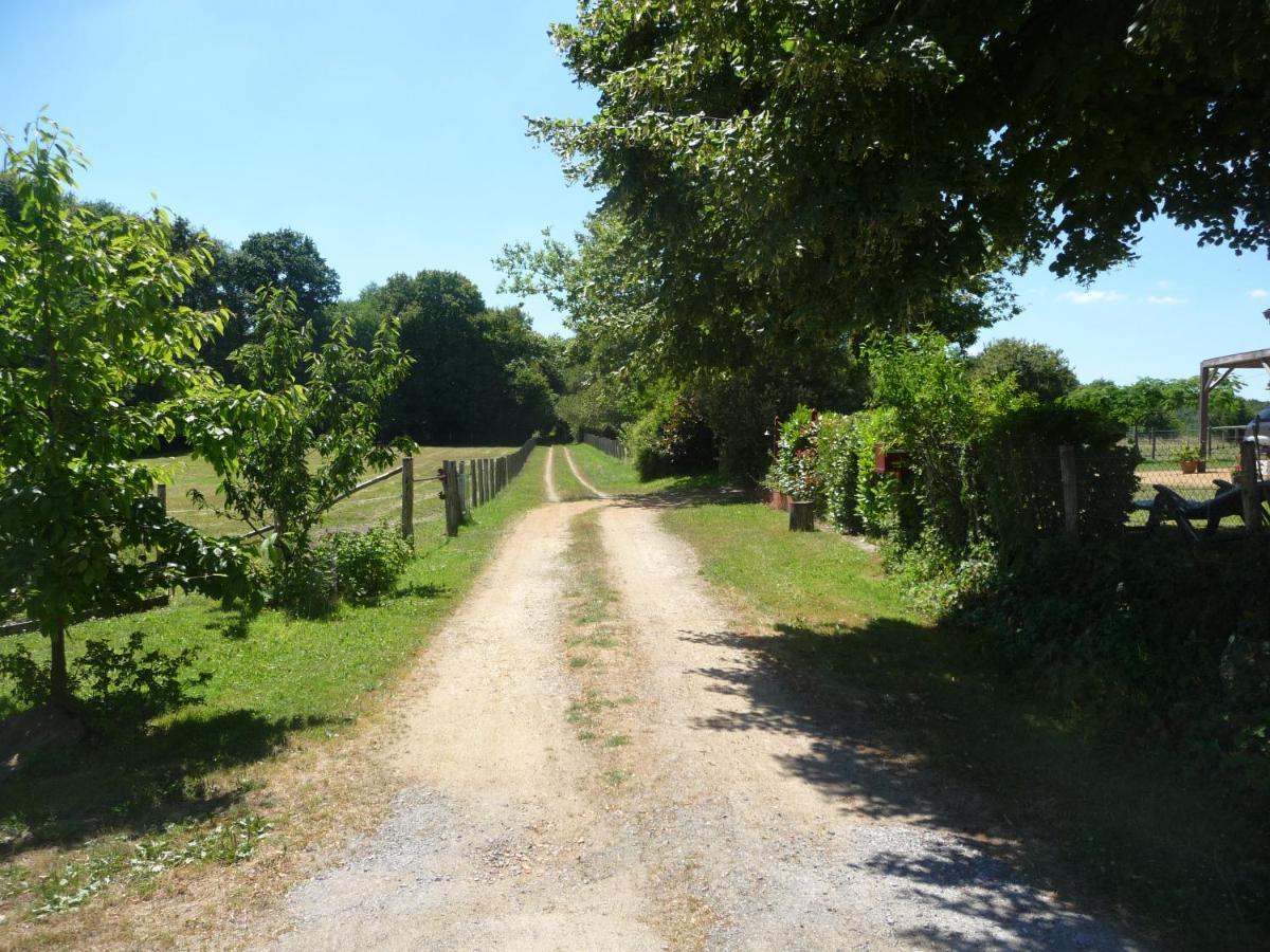 Chambre D'Hote En Vallee Du Loir - Elevage Des Rosiers Bazouges-sur-le-Loir ภายนอก รูปภาพ